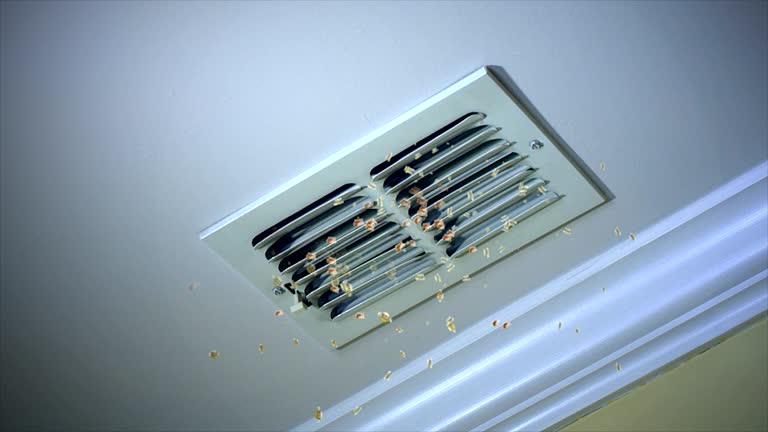 Best Affordable Duct Cleaning Services  in Lake Mack Forest Hills, FL