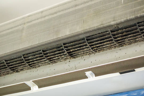 Best Air Duct Cleaning Near Me  in Lake Mack Forest Hills, FL
